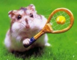 Roland Garros