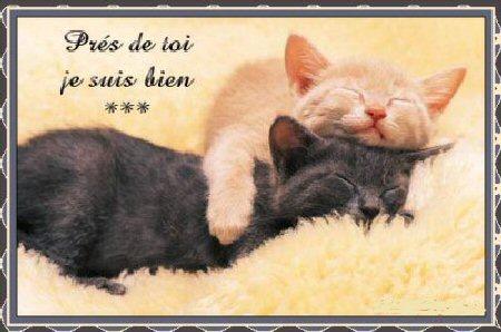 CALINS