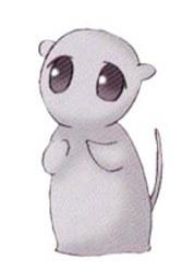 YUKI SOMA